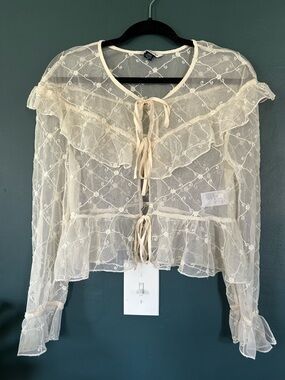 NWOT American Eagle Outfitters Sheer Embroidered Tie-Front Blouse in Cream